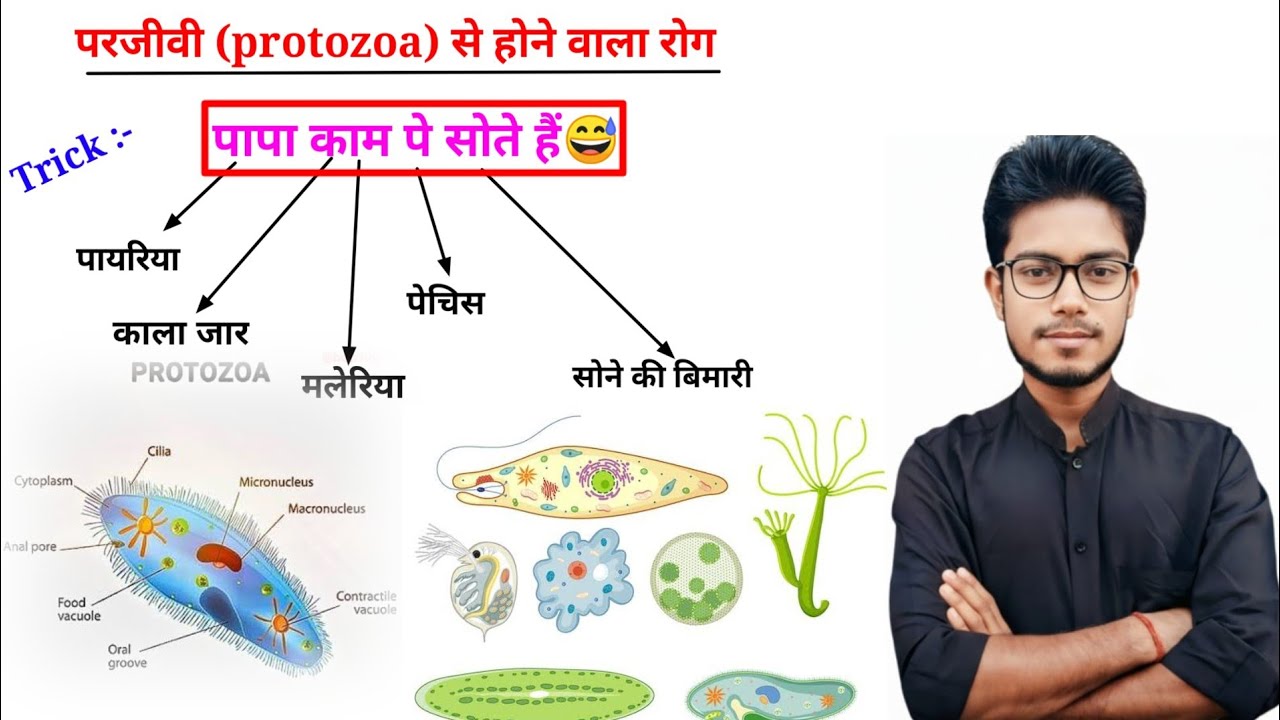 परजीवी से होने वाले रोग का ट्रिक||Protozoa Se Hone wala Rog Trick||Protozonal Deases||Vidyagramgm||