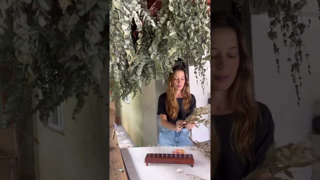 Venha aprender a desidratar o Callistemon comigo!