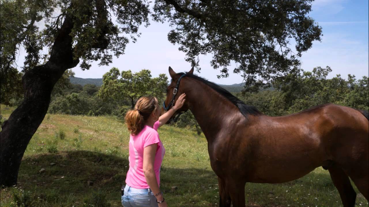 Paarden met pensioen bij Paard in Nood Spanje in een prachtig natuurgebied.