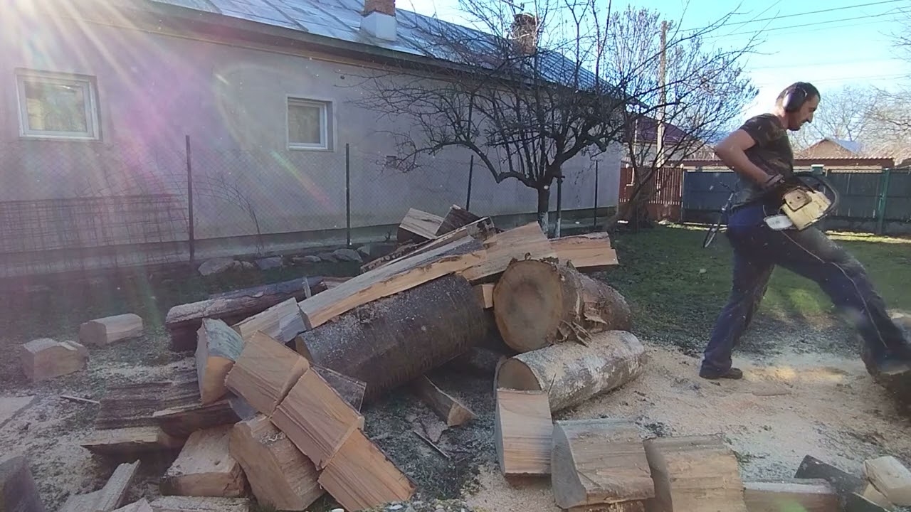 Stihl Ms 231 in acțiune la început de an 2023