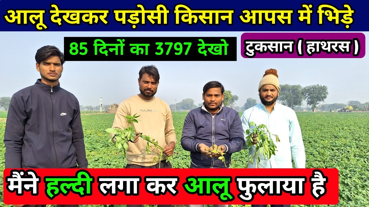 85 दिनों का 3797 देखो 😀 दोनों पड़ोसी किसान आपस में भिड़े | हाथरस से ग्राउंड रिपोर्टिंग | real farmer