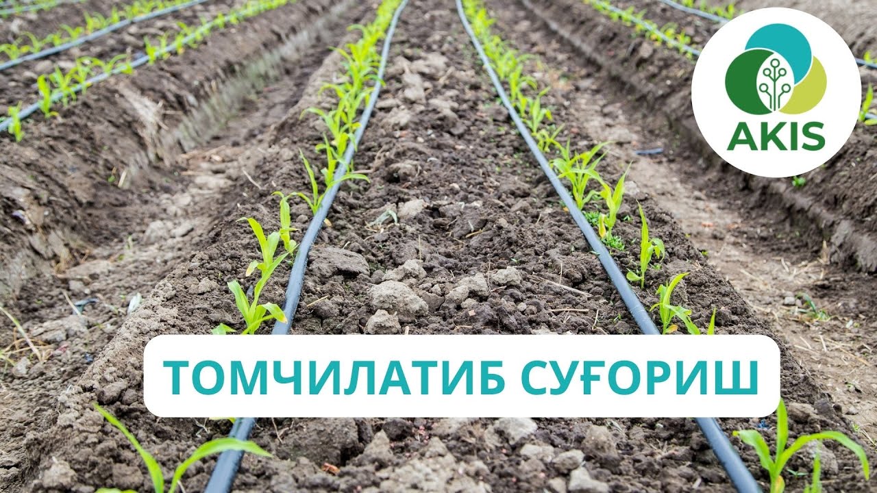 ТОМЧИЛАТИБ СУҒОРИШ ТЕХНОЛОГИЯЛАРИ