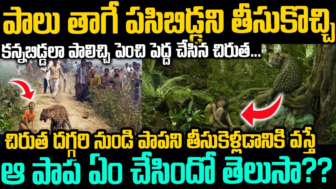 పాలుతాగే పసిబిడ్డని తీసుకెళ్లి పాలిచ్చి పెంచి పెద్ద చేసిన చిరుతపులి | Real Life Mowgli In Telugu