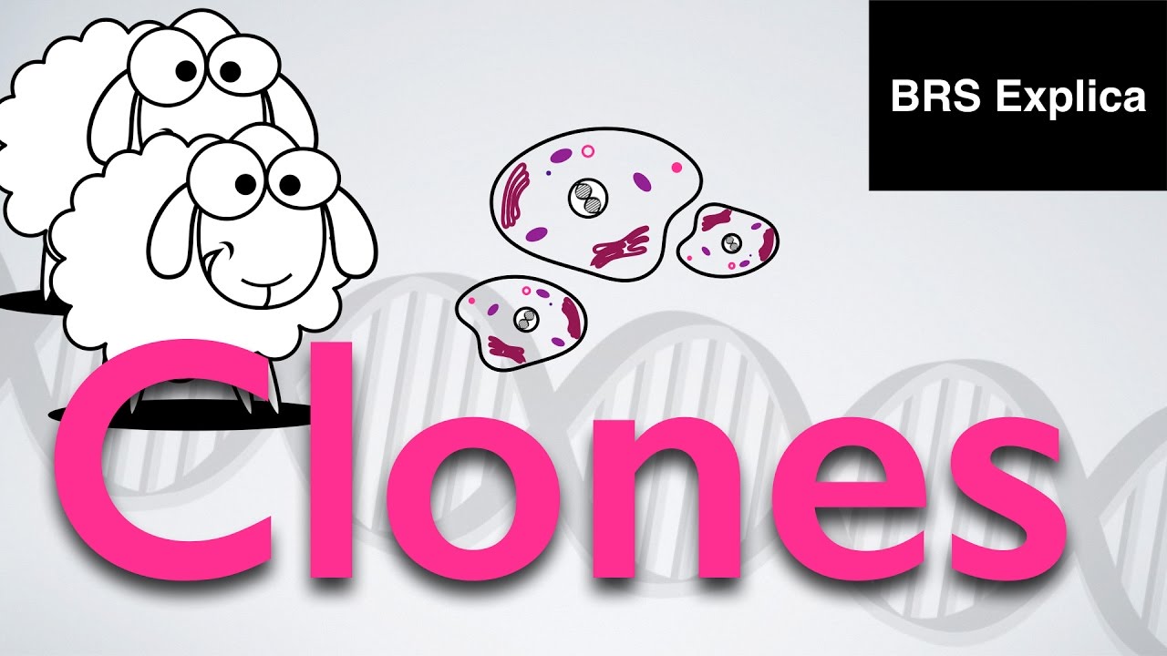 Clones, células-tronco e um futuro (talvez) bem diferente