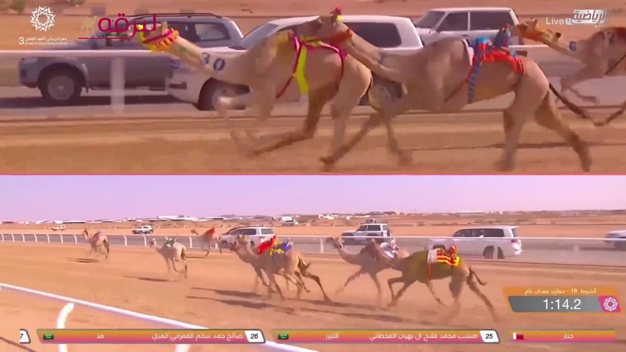 موقع لبرقه | بث مباشر... لسباق المفاريد (عام) مهرجان ولي العهد بميدان الطائف 9-8-2021 ص