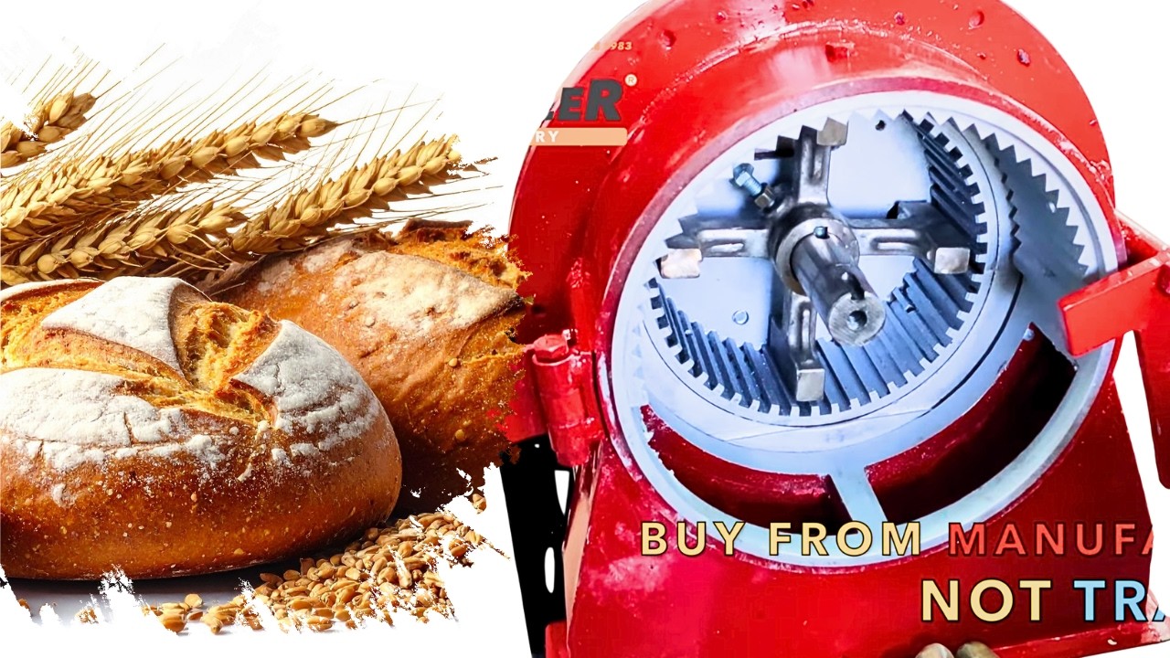 Flour mill machine | +91 951 200 6775 | MULTIPURPOSE PULVERIZER 10HP
