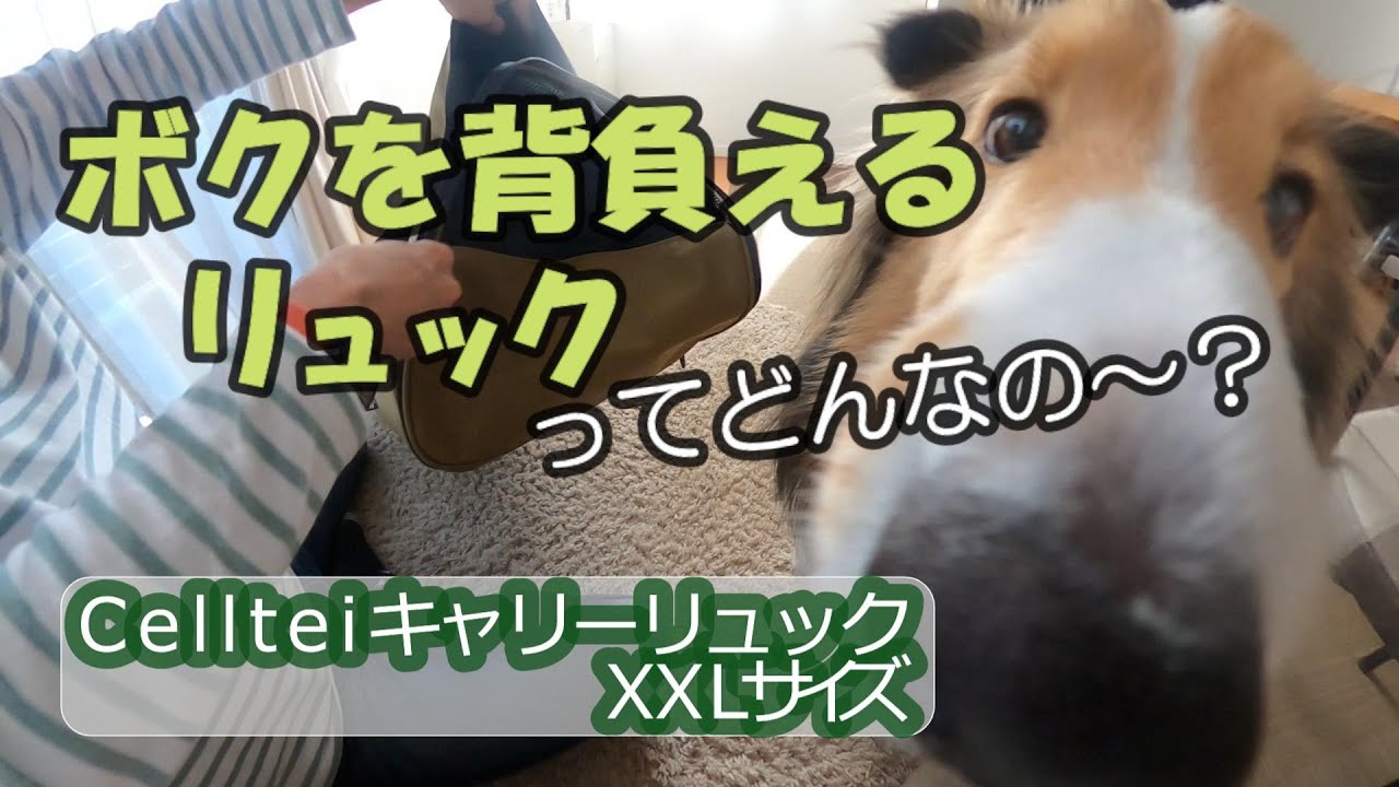 ボクを背負えるリュックってどんなの～？