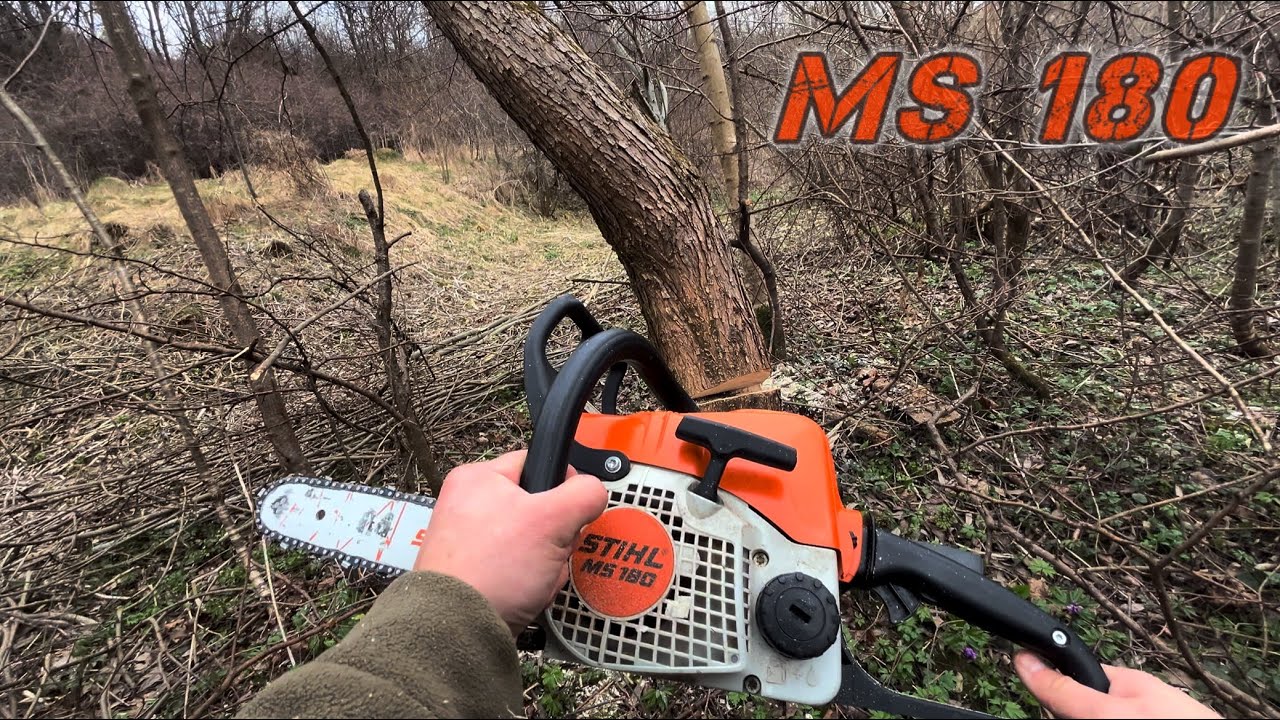 Чи вистачить STIHL - MS 180 для валки дерева?