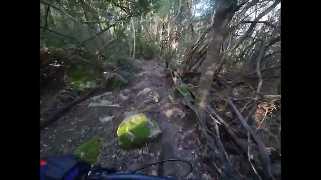 MTB San Felice Circeo Trail delle Ceraselle