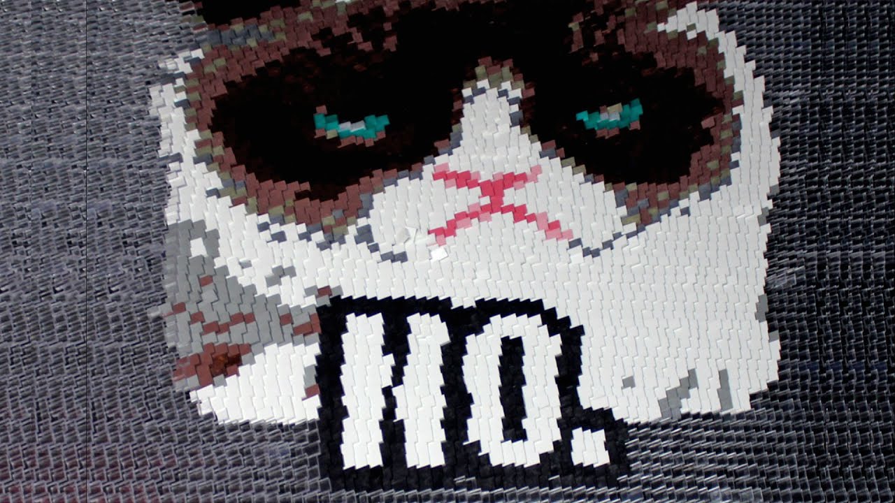 DomiNO Grumpy Cat