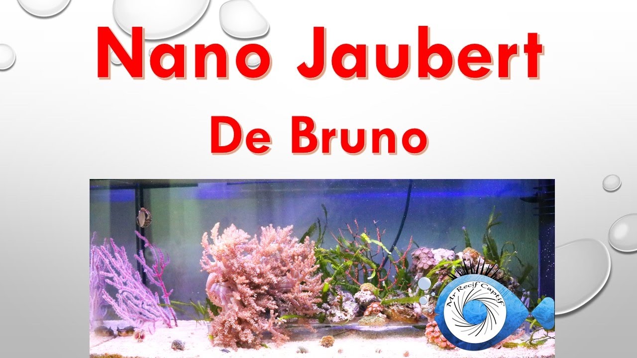 Bruno nous parle de son nano en Jaubert - Mr Recif Captif #122