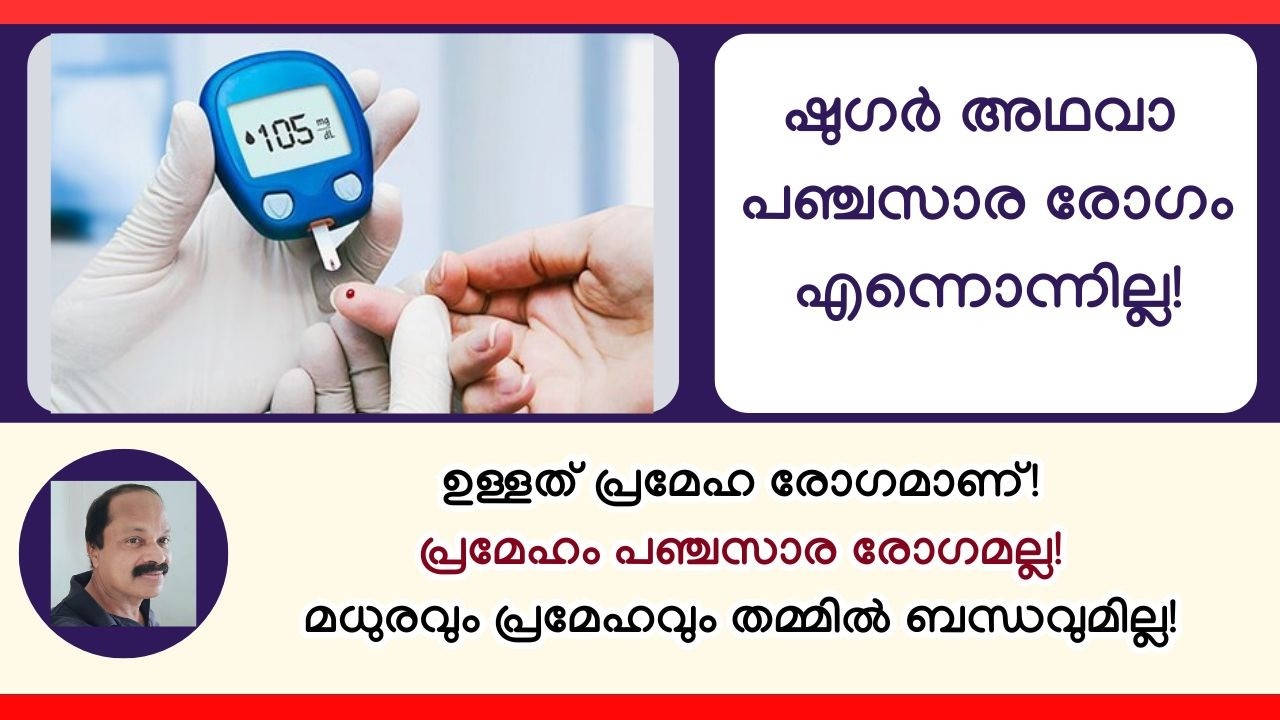 ഷുഗര്‍ അഥവാ പഞ്ചസാര രോഗം എന്നൊന്നില്ല! ഉള്ളത് പ്രമേഹമാണ്! പ്രമേഹം പഞ്ചസാര രോഗവുമല്ല! Diabetes