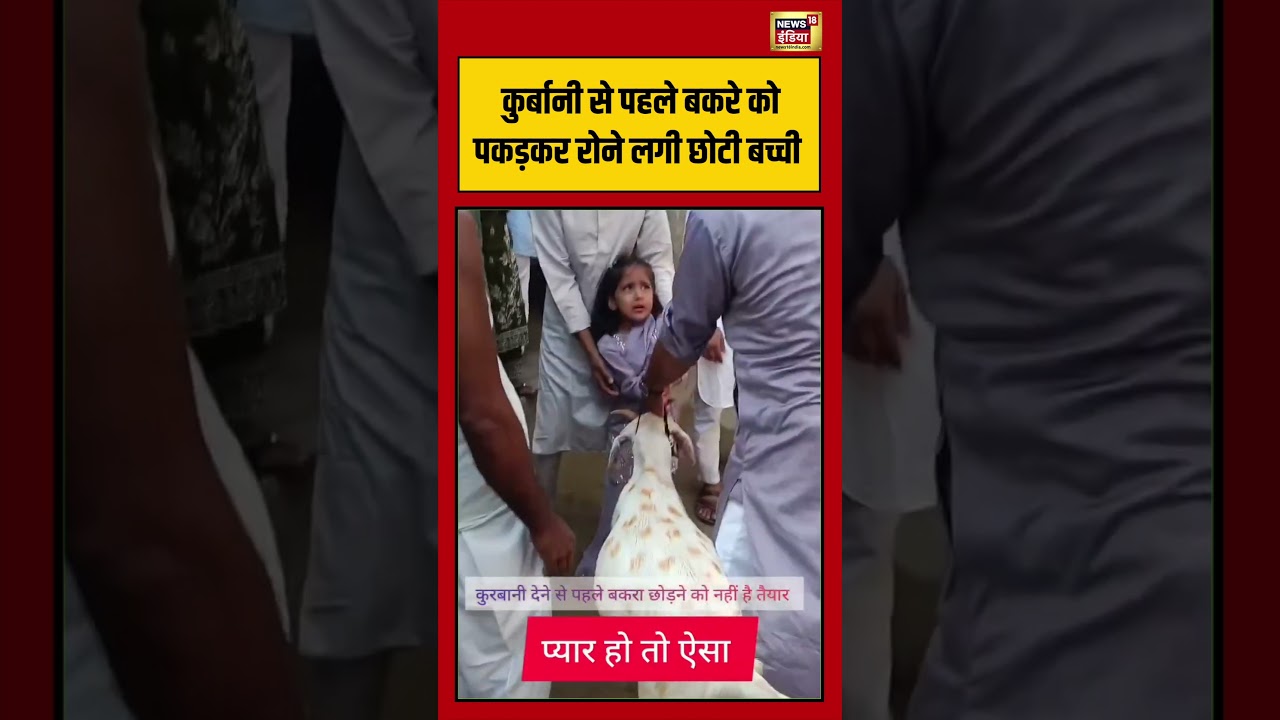 Bakra Eid 2026 | A little girl started crying while holding the goat before the sacrifice. #qurbani | #viralvideo