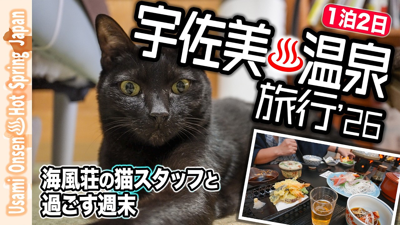 【宇佐美温泉♨️旅行’26】☀️静かな海の街と猫のいる宿｜海風荘