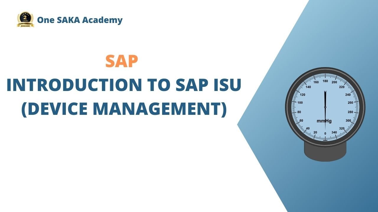 Module Overview: SAP ISU (Device management)