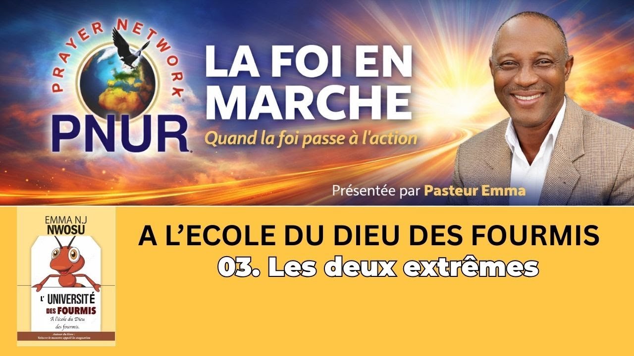 L'Université des Fourmis Partie 3 : Les Deux Extrêmes - Vol ou Paresse | Proverbes 6:6