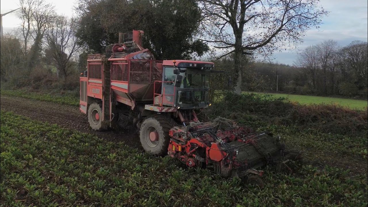 Arrachage de betteraves avec une Holmer T3 | ETA Le Bonhomme