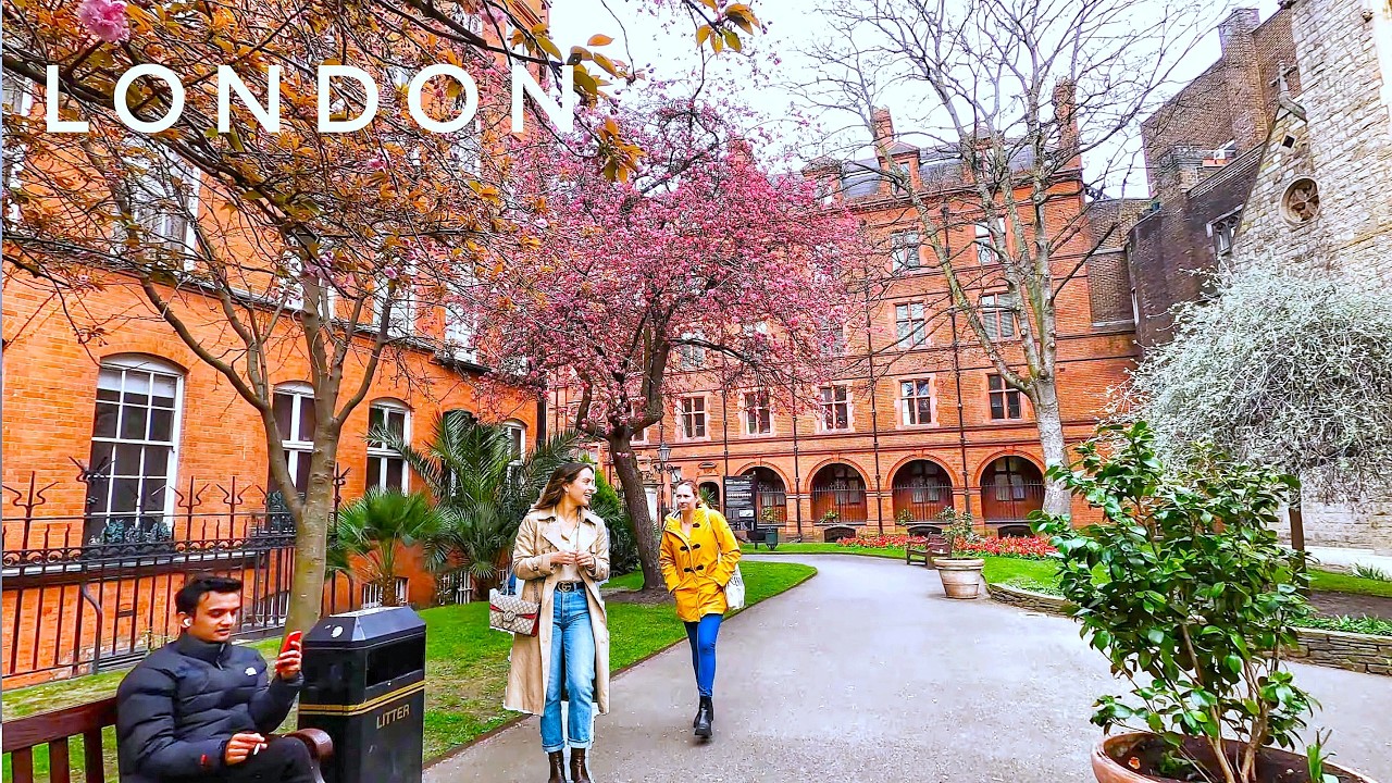 Cherry Blossom London City Walk | Walking London Mayfair to Kensington & Chelsea | London City Tour
