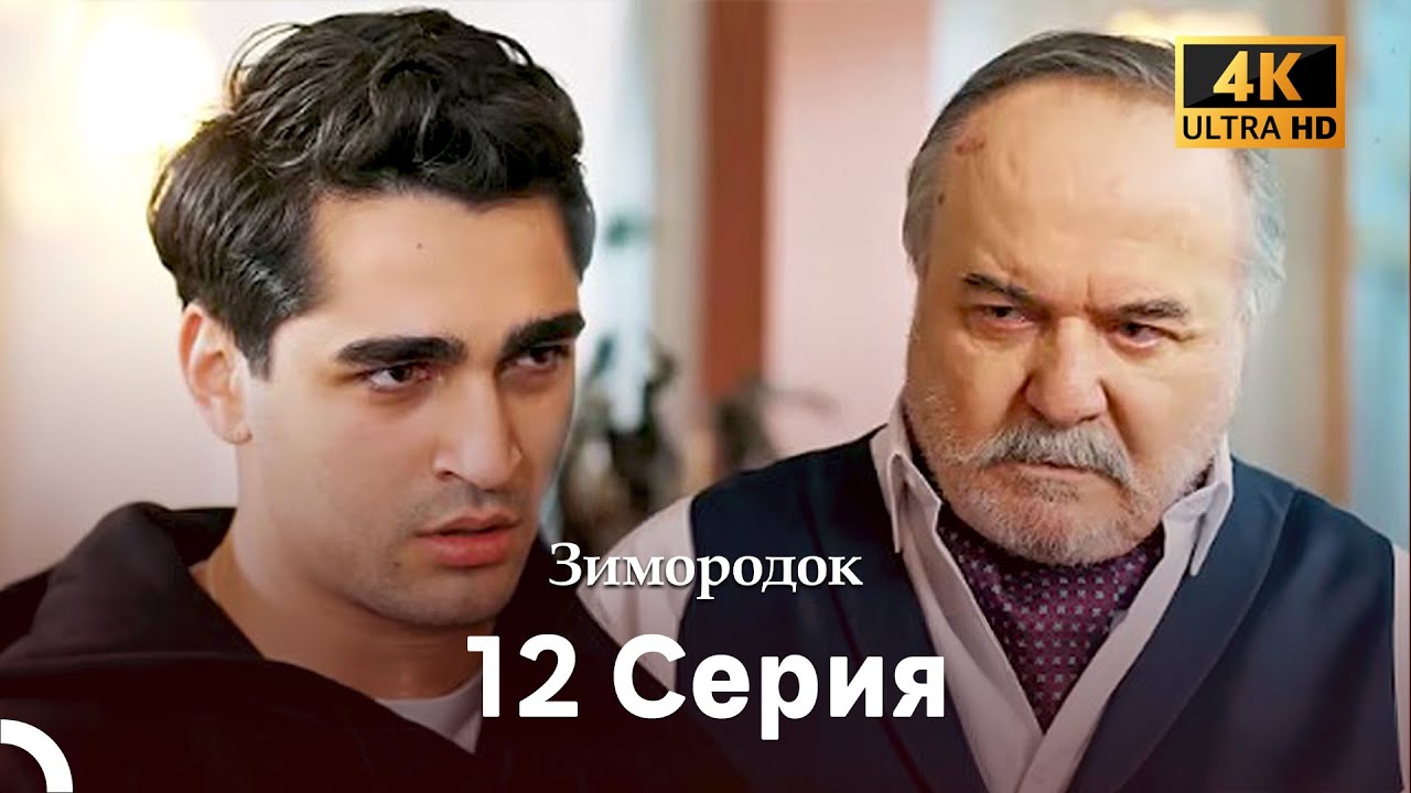 Зимородок 12 Cерия (Русский дубляж) (4K)