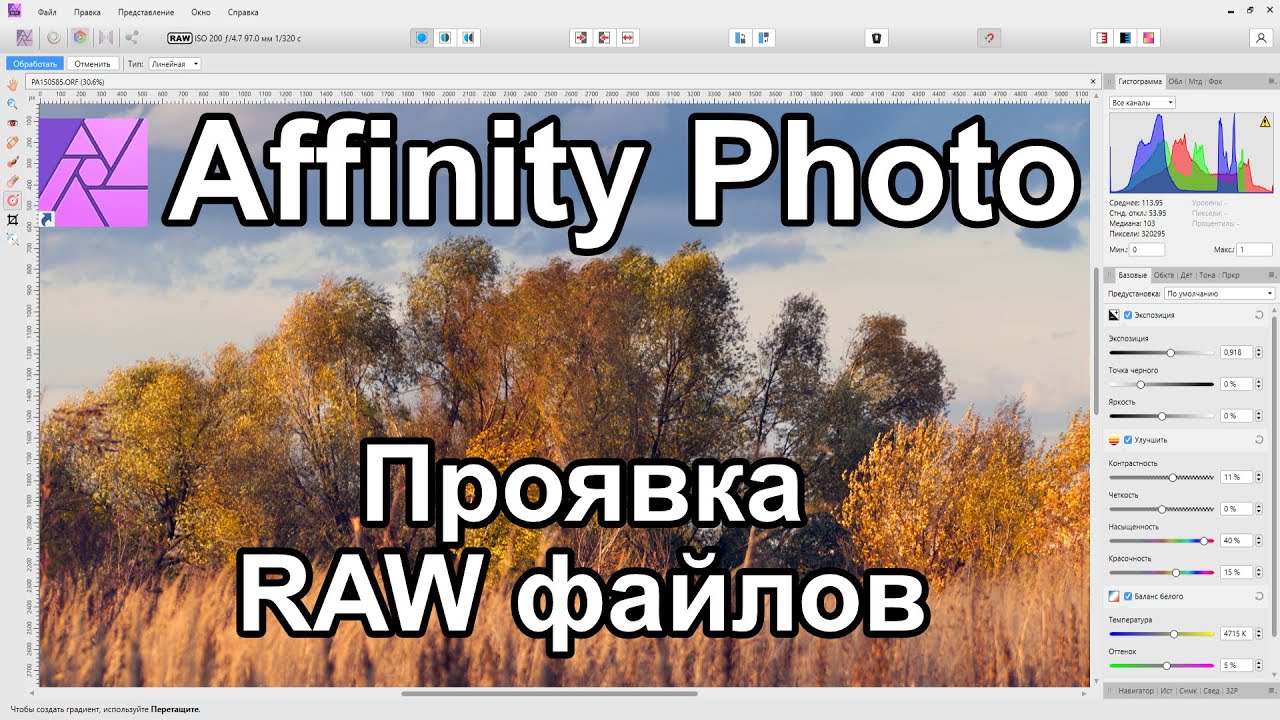 Affinity Photo обработка RAW файлов. Краткий обзор возможностей.