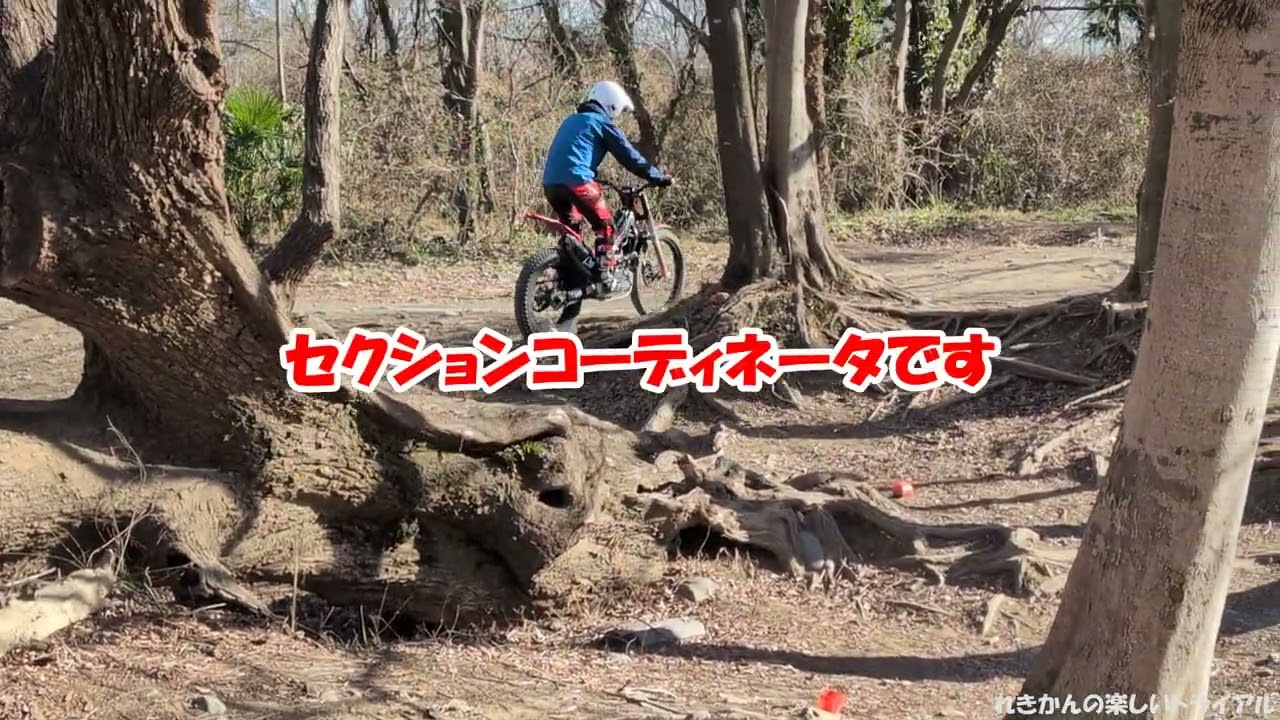 おさるdeトライアル