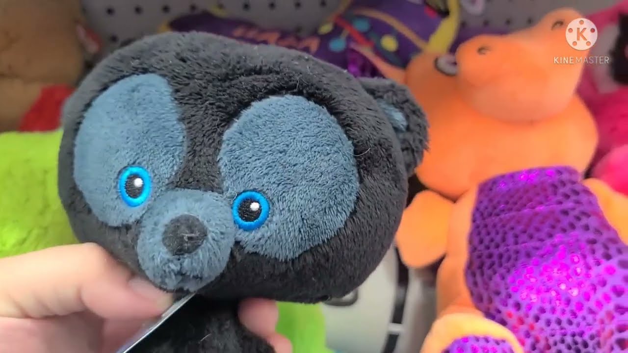 Come find some beanie boos with us at the goodwill 😃😃😃