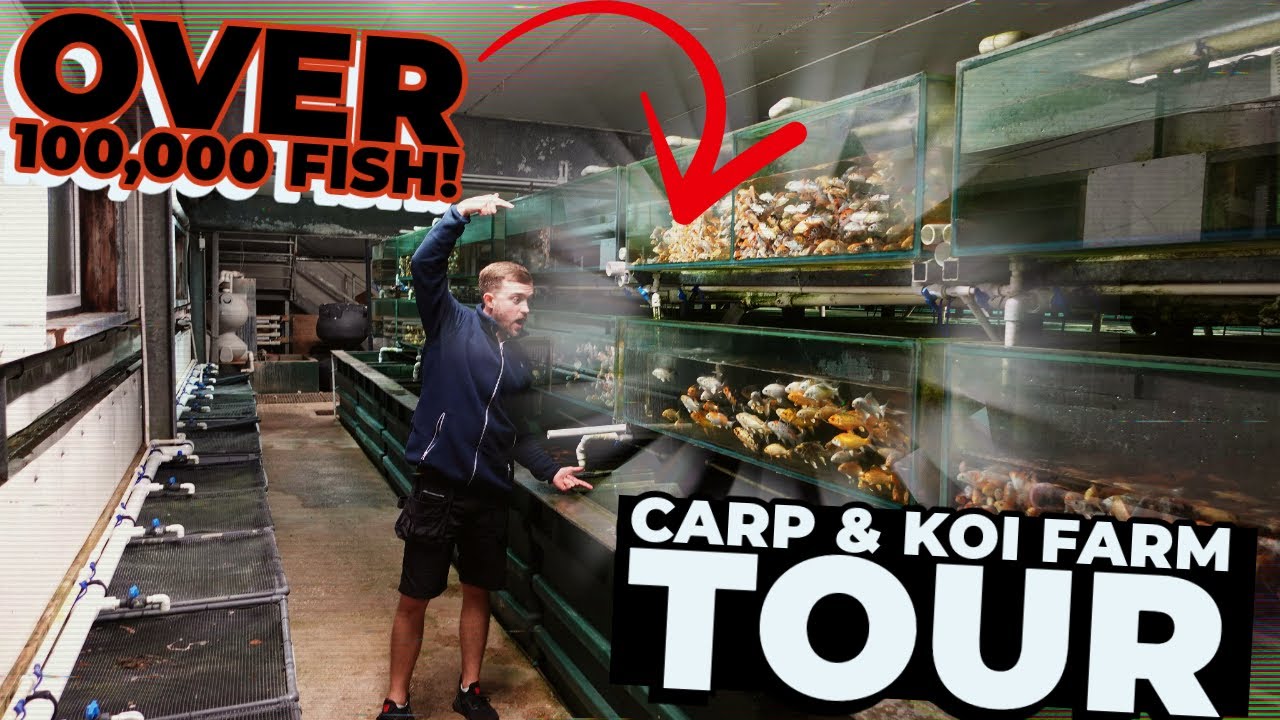 VISITING THE UK'S MOST BIOSECURE FISH FARM