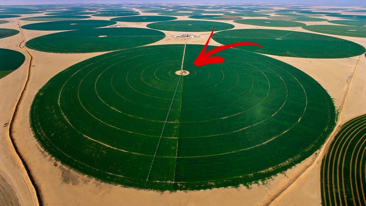 Come L’Arabia Saudita Sta Trasformando Il Deserto In Terra Fertile