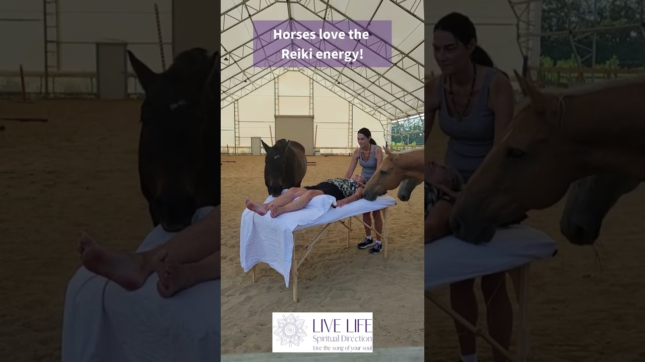 This is so cool! Horses helping out with my Reiki session!