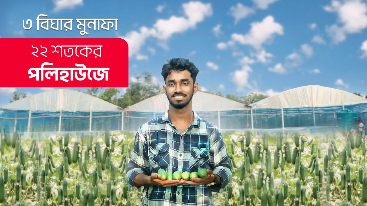 ২২ শতকের পলিহাউজ থেকে ৩ বিঘার মুনাফা সম্ভব!