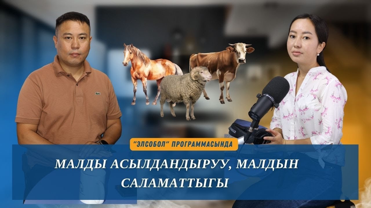 Малды асылдандыруу, малдын саламаттыгы