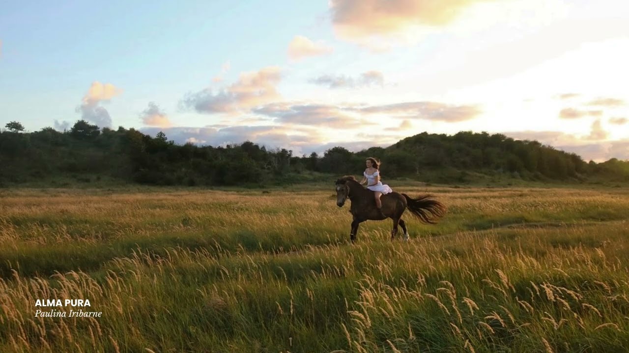 ALMA PURA - Paulina Iribarne