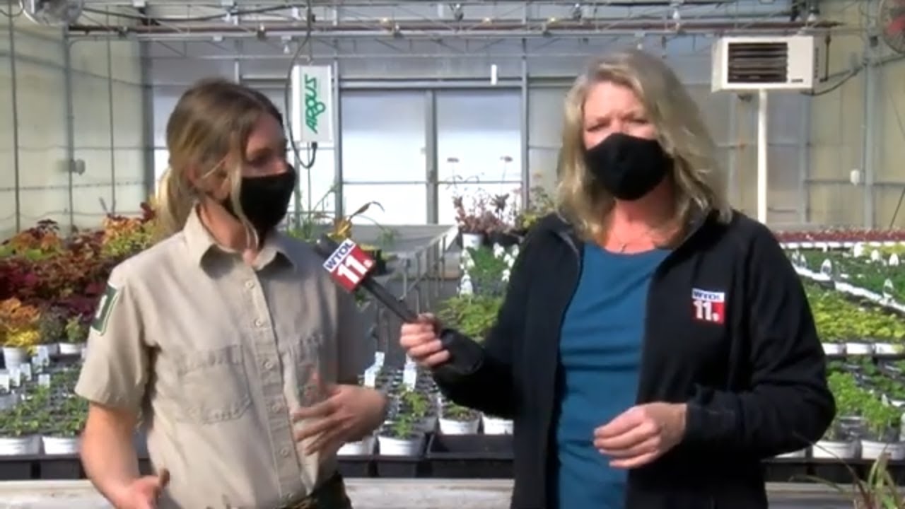 Are you a limited-mobility gardener? There are tools you can use | Get Growing