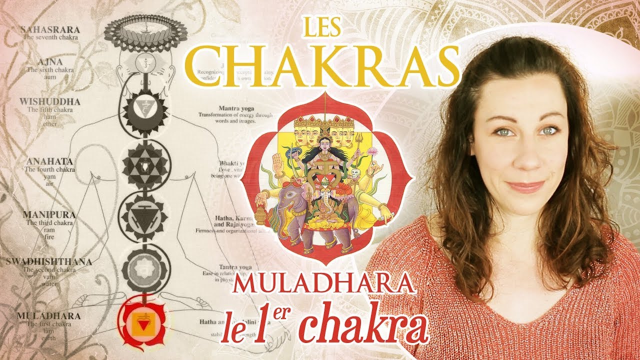LES CHAKRAS : LE 1ER CHAKRA (racine, base, muladhara)