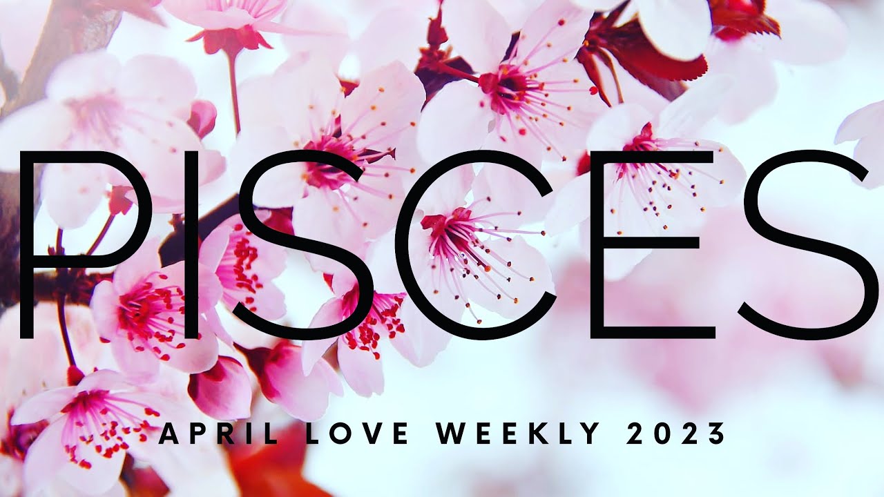 *PISCES* THIS IS RARE! YOU MANIFESTED THIS LOVE OFFER A LONG TIME AGO ~ APRIL LOVE WEEKLY TAROT 2023