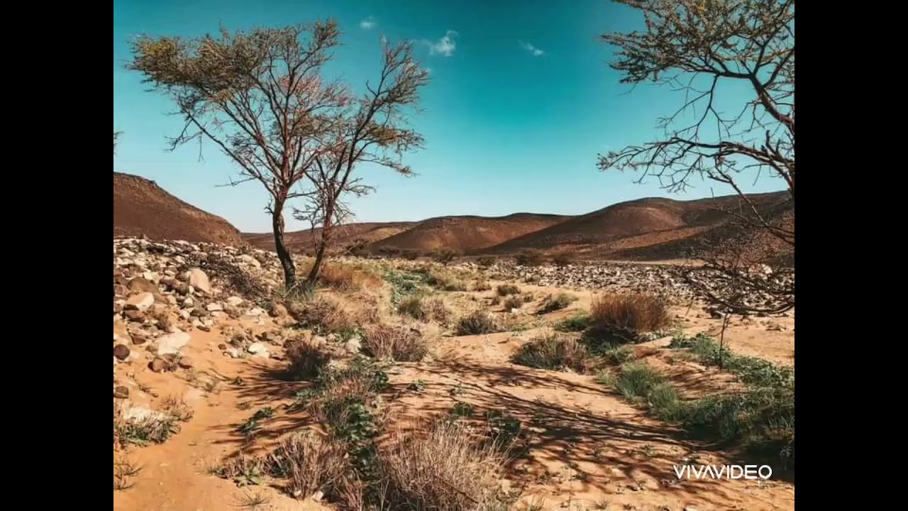 آه يادلالي مالك..  أغنية حلووووة من الجنوب الليبي.. TAKASEEM@