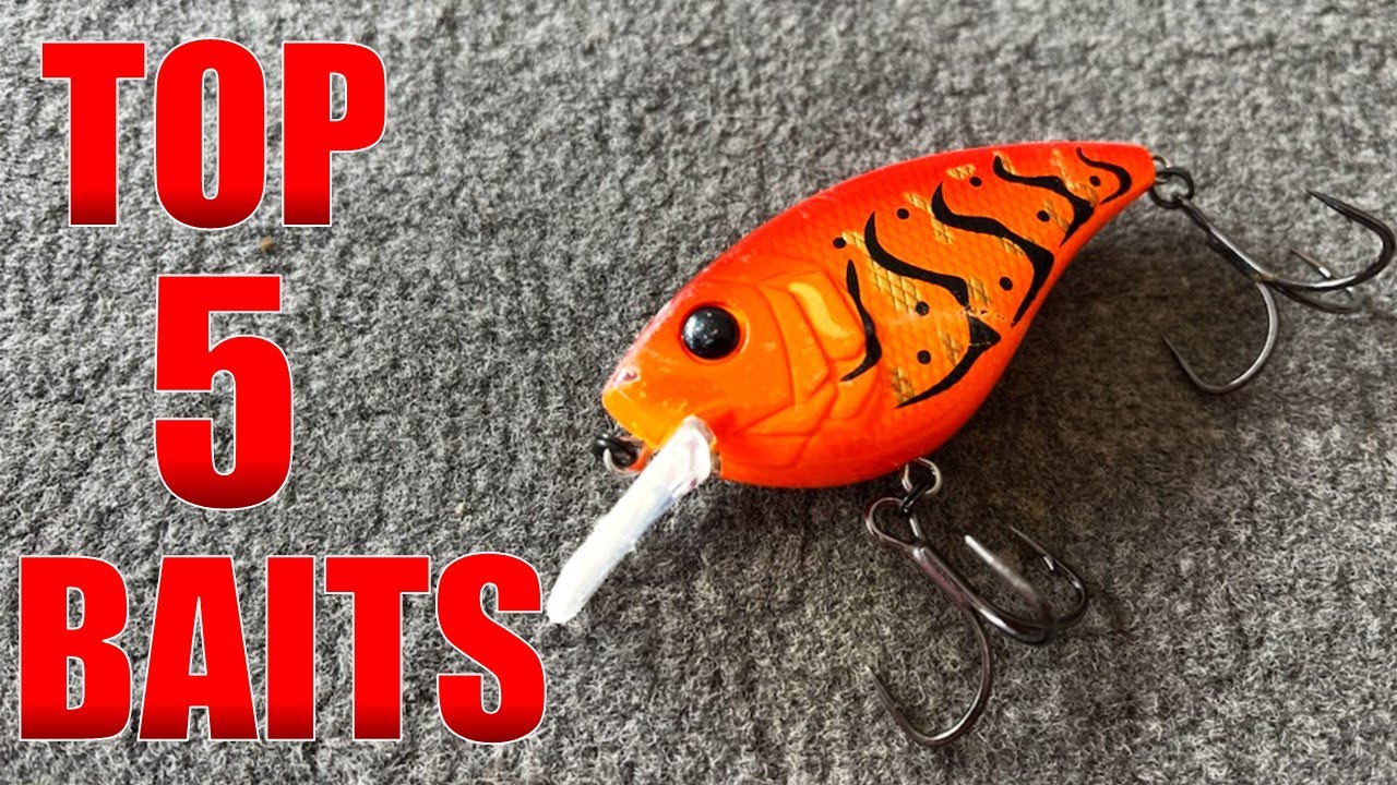 November Bass Fishing Tips: 5 Top Baits to Try