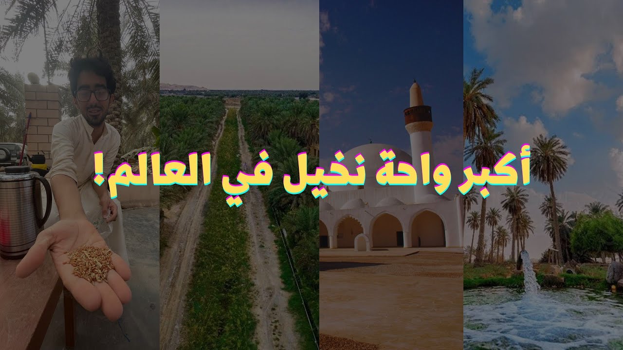 الأحساء.. بلدُ الحضارة والثقافة والجمال.