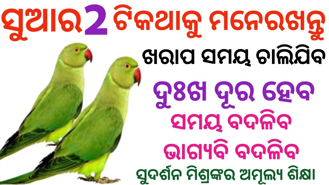 Learn two things from parrot। Odia Motivational Story। Sudarsan Mishra। Kahani।