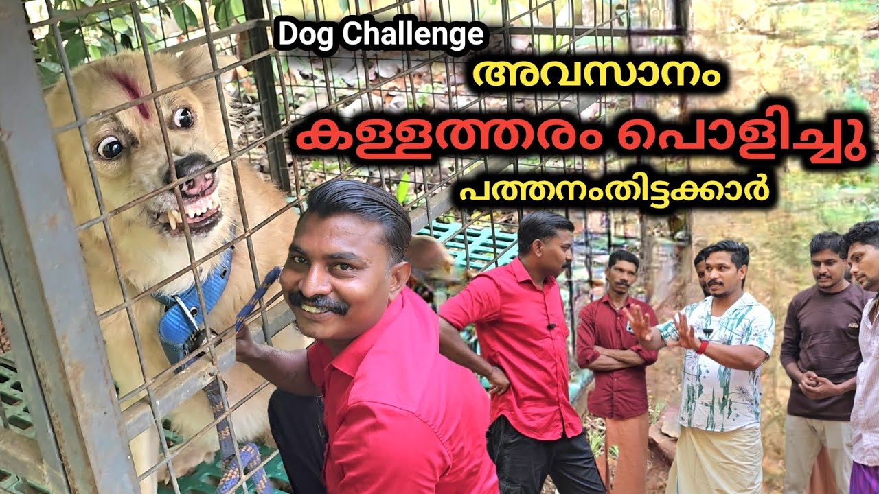 ഇനി പിടിച്ചു നിൽക്കാൻ പറ്റില്ല.. കള്ളം പൊളിഞ്ഞു.. Dog challenge.. Leash talks