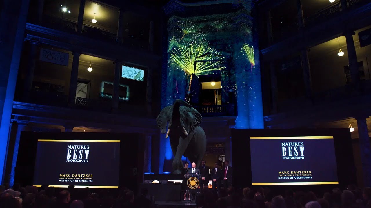 Epson Laser Projectors | Projection Mapping at Nature's Best Awards Gala