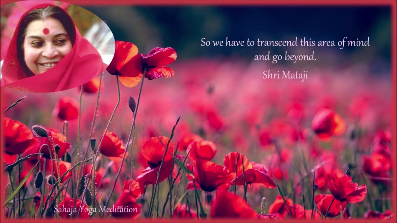 Transcend the Mind