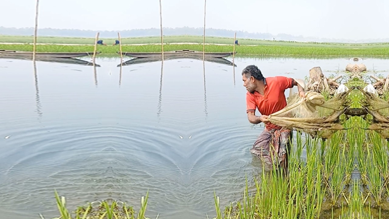 Beautiful Village Fishing Video - Best Cast Net Fishing Video - Traditional Net Fishing Video