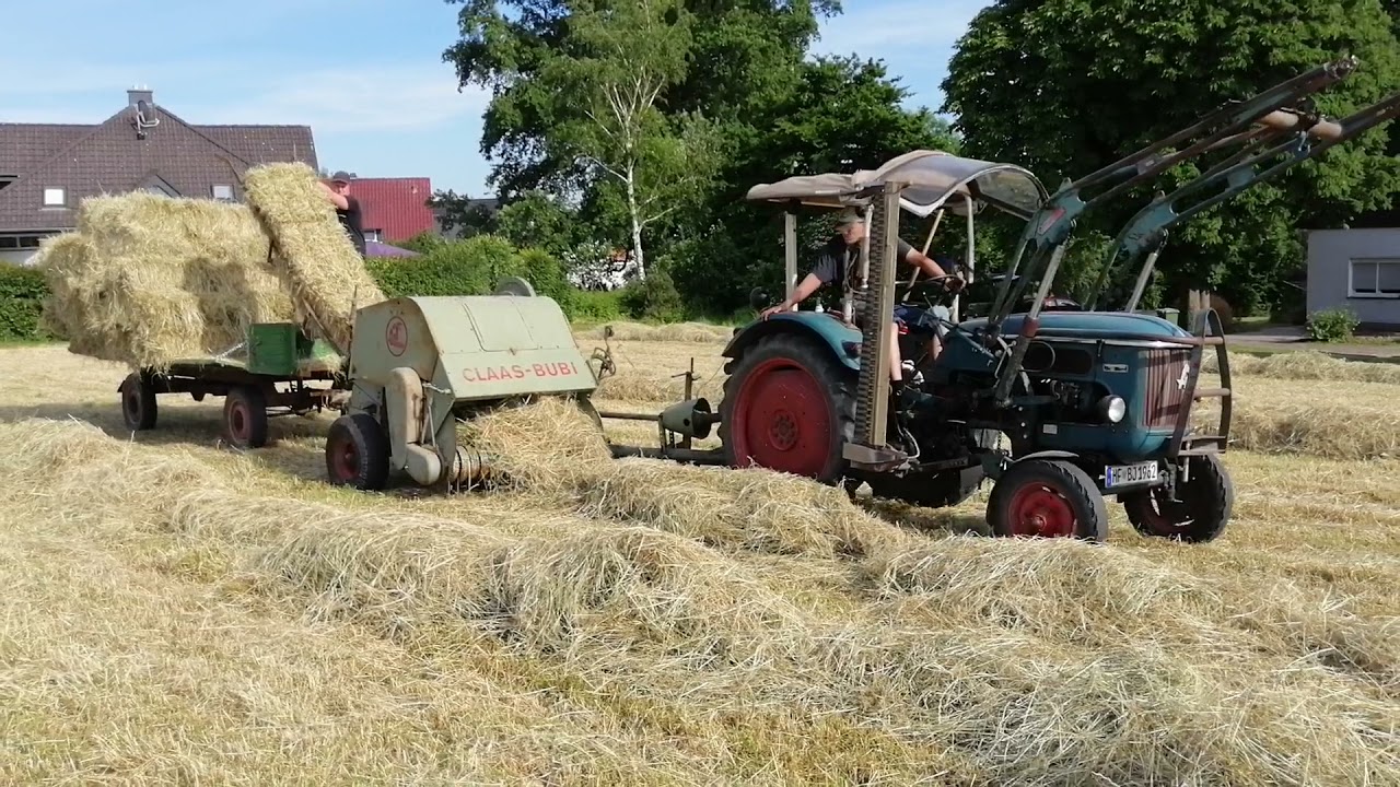 Hanomag Perfekt 300 mit Claas Bubi S  1. Heuschnitt 2021
