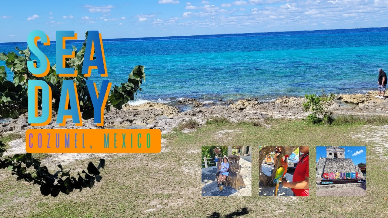 Sea Day Shows, Cozumel Trolley Tour & Wine Tasting | Wonder of the Seas Cruise Vlog