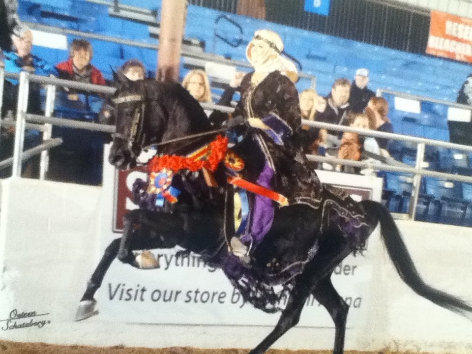 Scottsdale 2012 Half Arabian Mounted Native Costume JTR