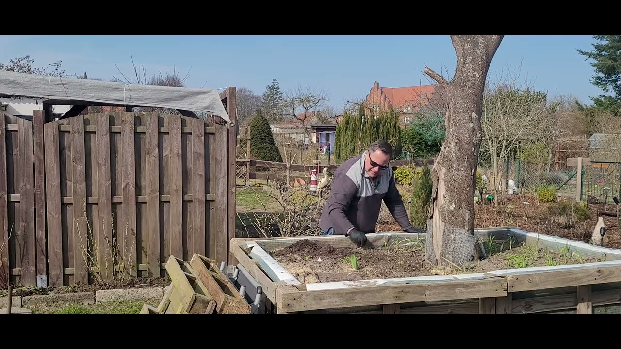 Knoblauch.  Anbau im Herbst oder im Frühjahr???