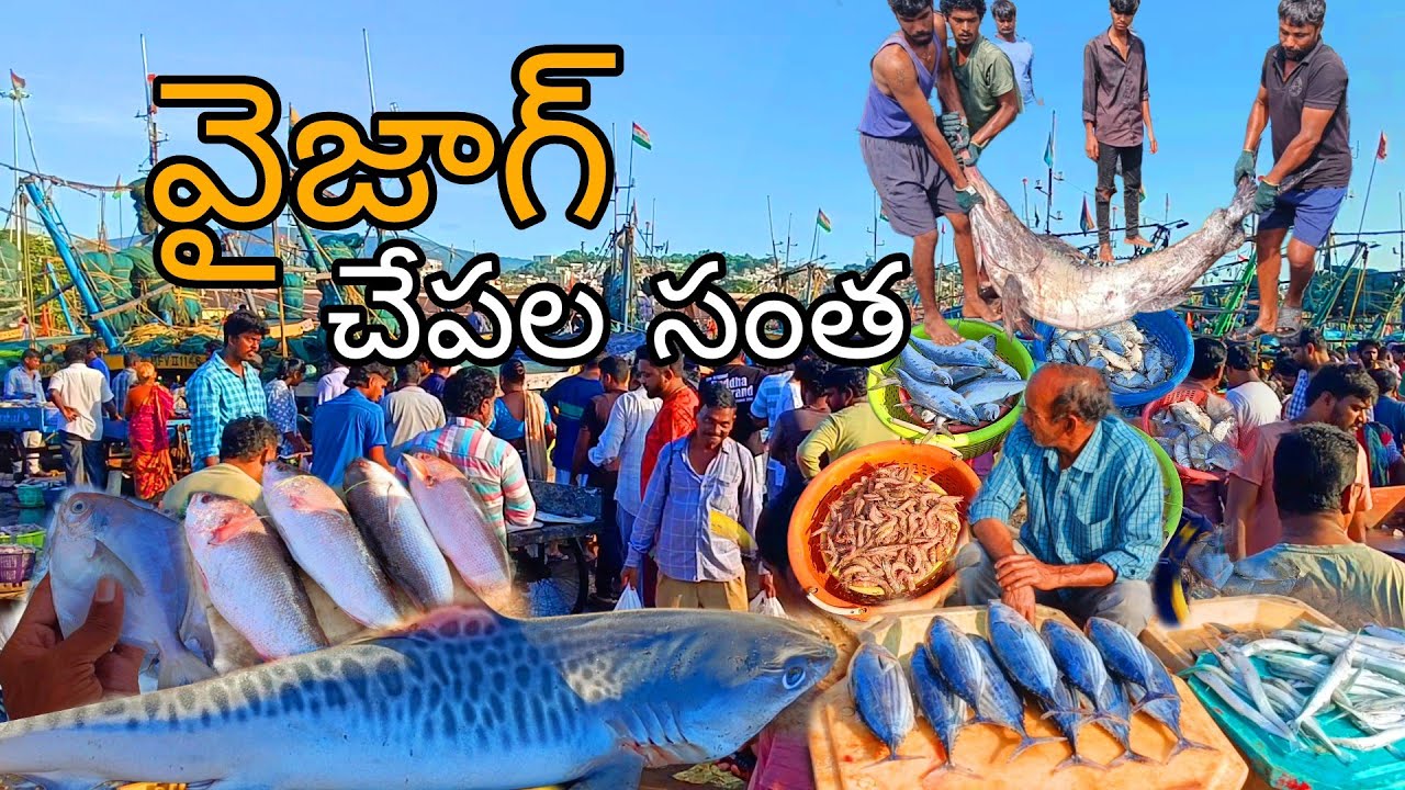చేపల సంత | చేపల మార్కెట్ | Fish Market| Fishing Harbour| Vizag fishing Harbour| Vizag fish market