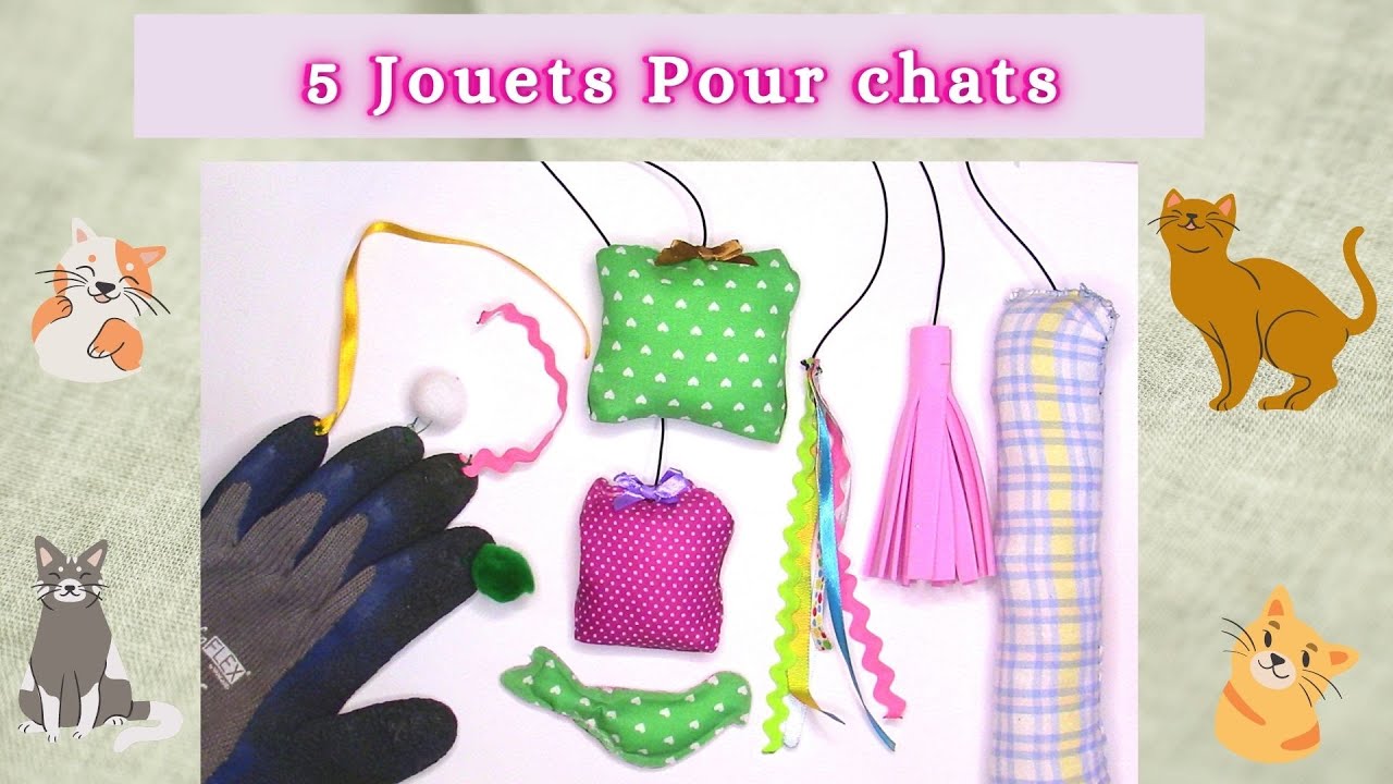 5 Jouets Faciles et Pas Cher à Faire pour un Chat