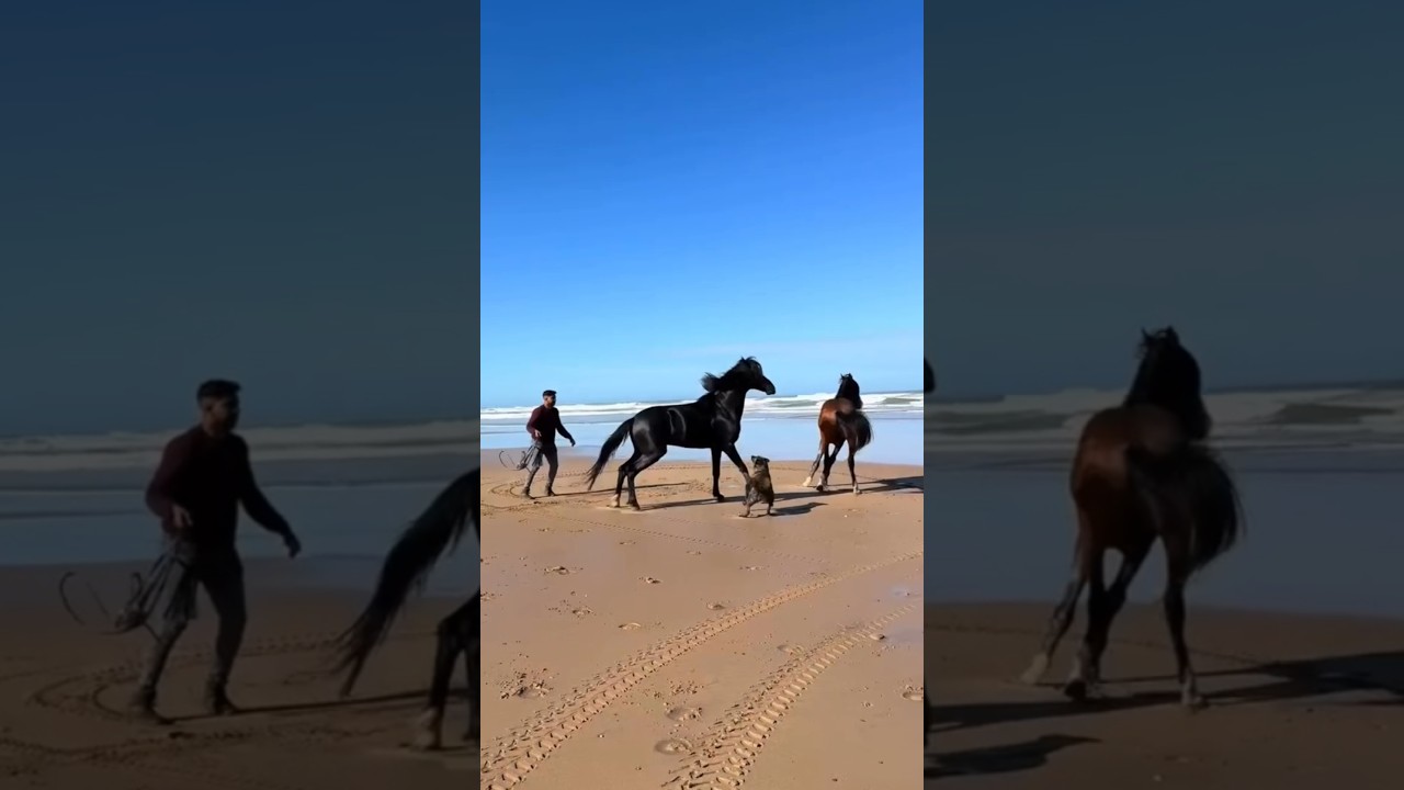 Who is Horse Lover ❤️🐎 #horse #racing #viralshort #foryou